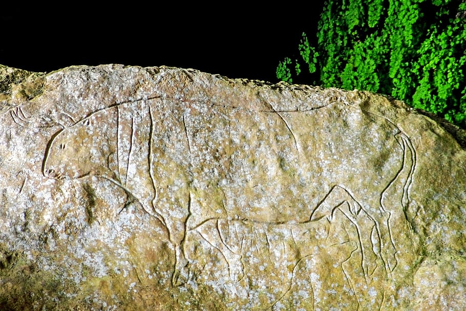 Cave Of The Hermit, Graffiti, paleolithic, bos primigenius, uro