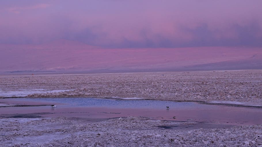 landscape photography of body of water during sunset, landscape photo of shoreline HD wallpaper