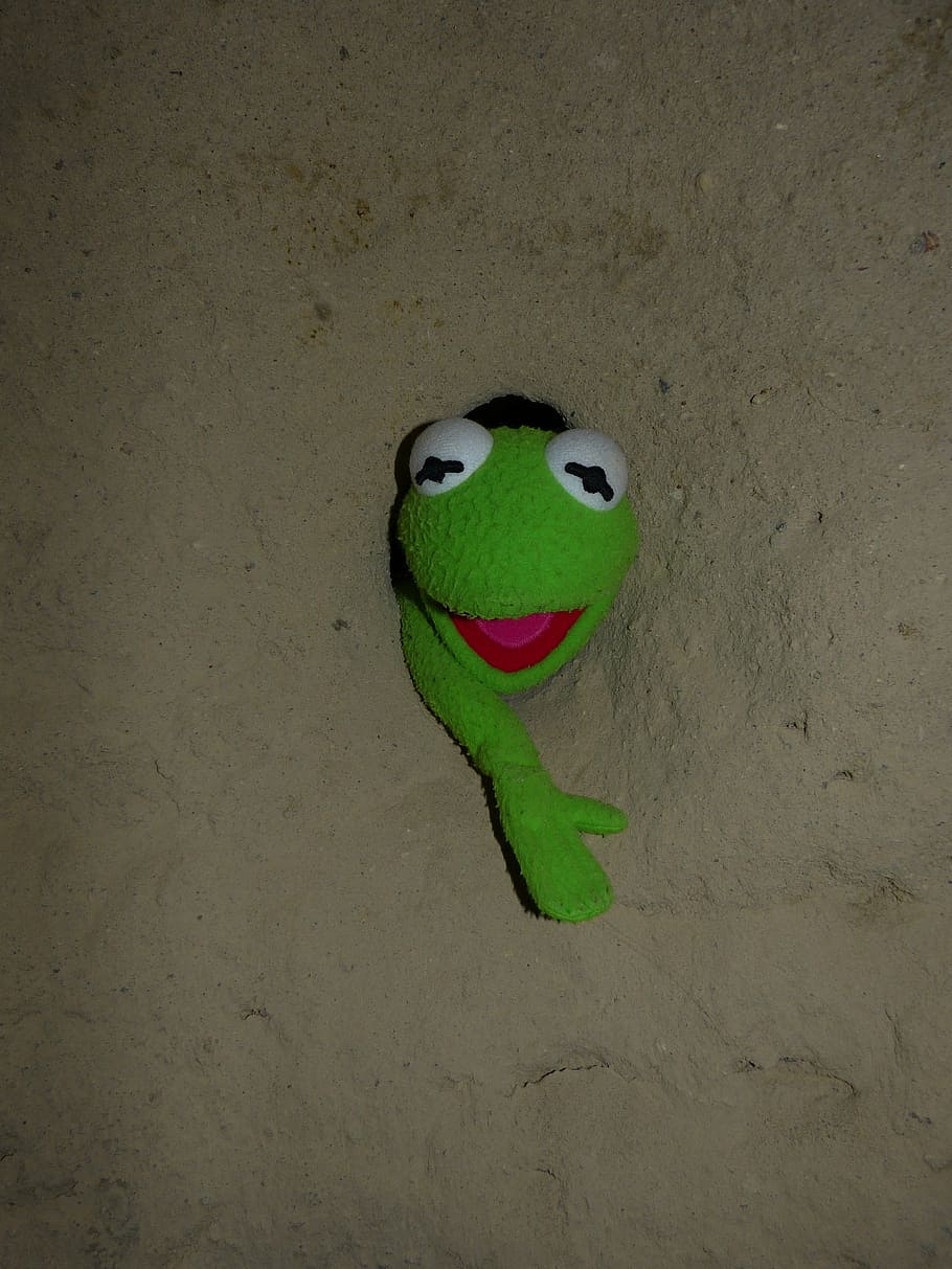 kermit, frog, green, wall, hole, caught, stone, cold, eng, green color