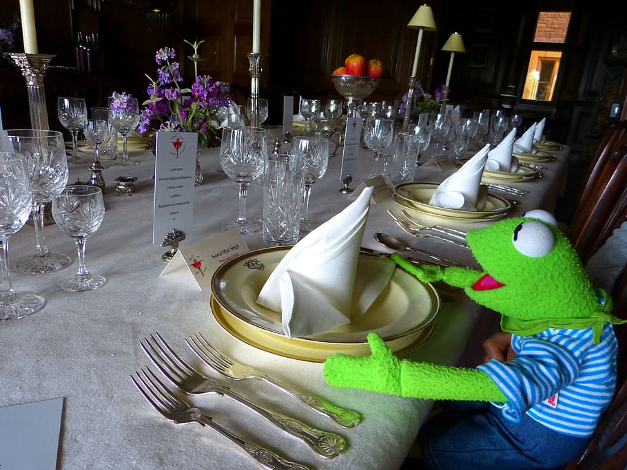 kermit, frog, eat, table, covered, doll, glass, real people HD wallpaper
