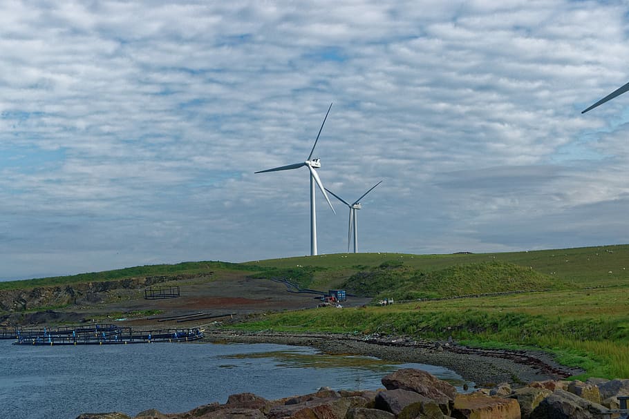 Wind Turbines, Wind Power, Energy, electricity, environment