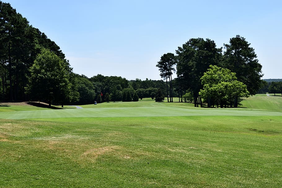 golf, grass, course, fairway, putt, tee, golfer, hole, nature HD wallpaper