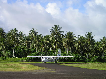 aircraft, small, samoa, exotic, south sea, transportation, tree HD wallpaper