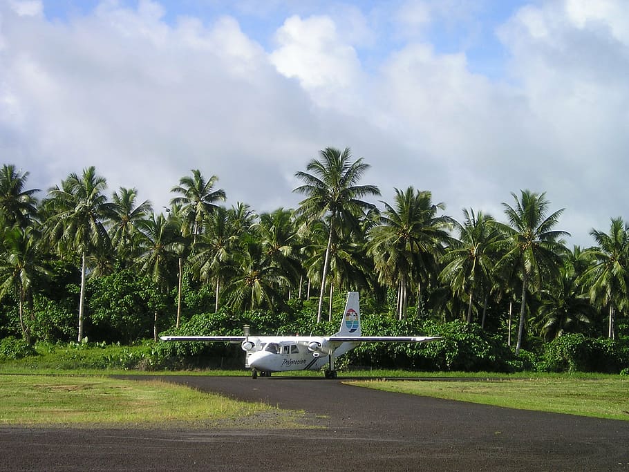 aircraft, small, samoa, exotic, south sea, transportation, tree HD wallpaper