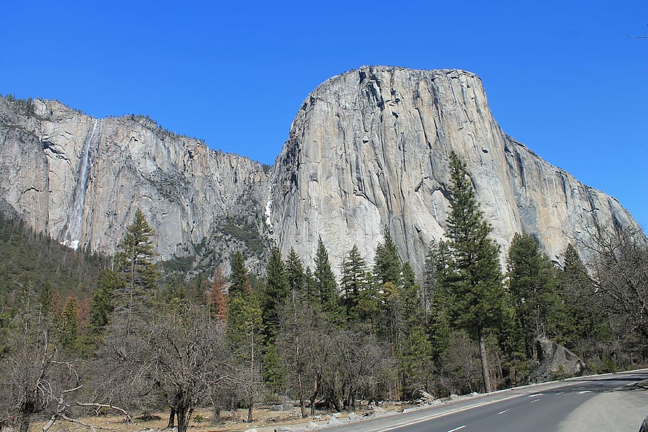 el capitan, yosemite, tree, park, california, national, landscape, HD wallpaper