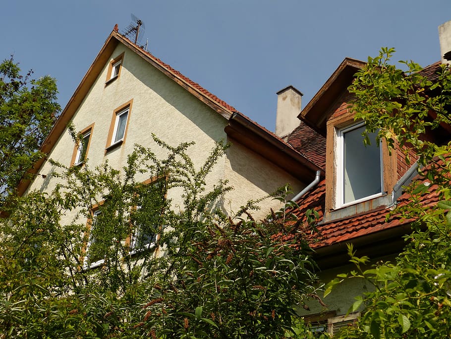 gable, gaupe, home, building, window, roof, plant, haunting HD wallpaper