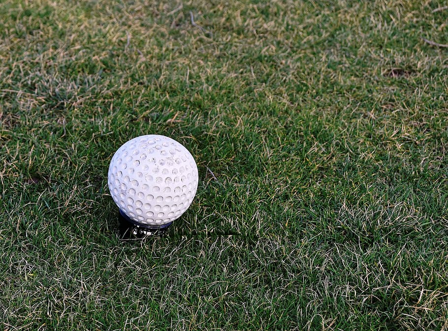 white gold ball in grass field, golf, tee marker, teeing ground HD wallpaper