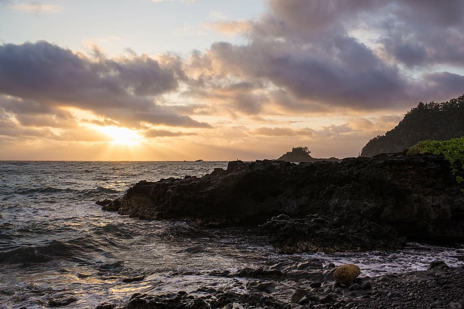 beach, coast, dawn, dusk, evening, foliage, landscape, ocean HD wallpaper