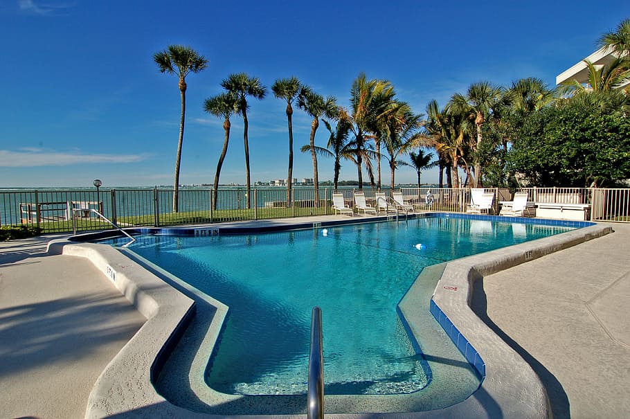 palm trees near swimming pool, siesta, key, florida, beach HD wallpaper