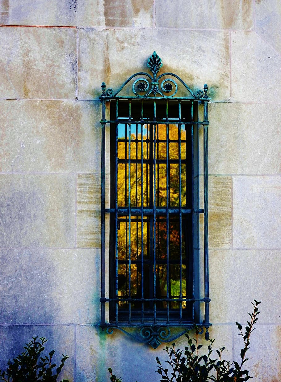 window, trees, fall, autumn, architecture, old, europe, facade HD wallpaper