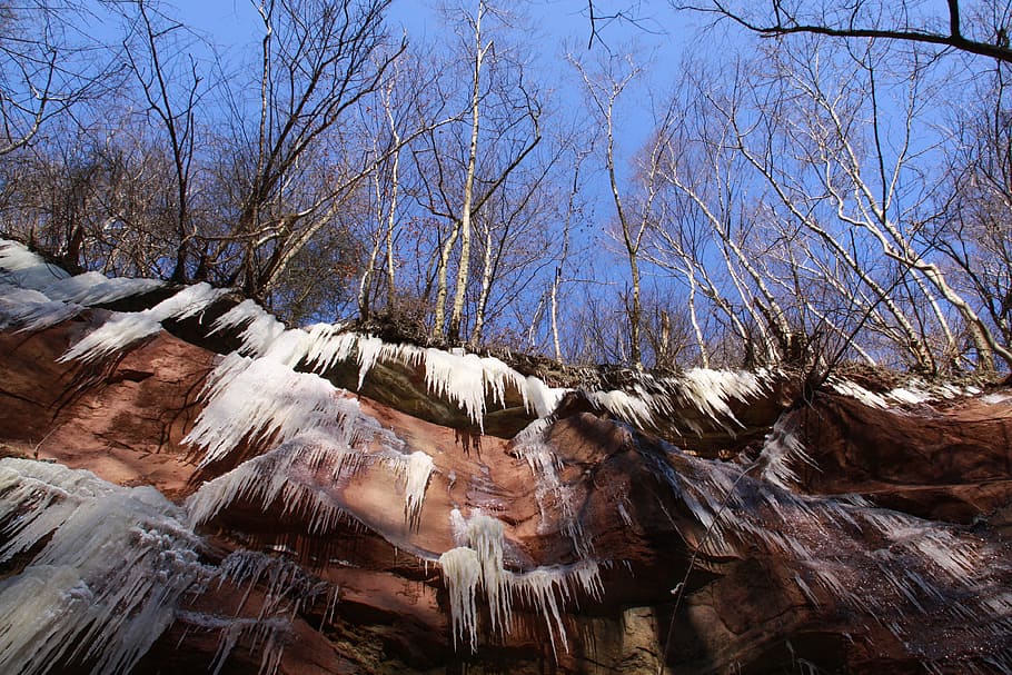 cascade, ice, cascada, winter, ice formations, landscapes, tree HD wallpaper