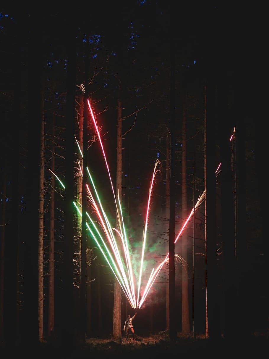 person holding fireworks in the middle of the forest, person holding firework under tall trees HD wallpaper