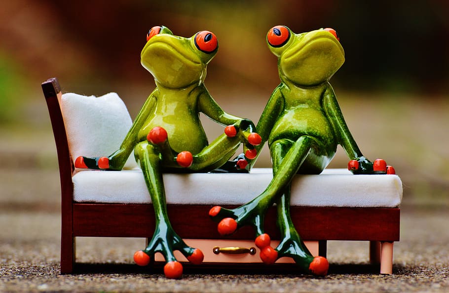 two frog sitting on bed, friends, rest, break, funny, cute HD wallpaper