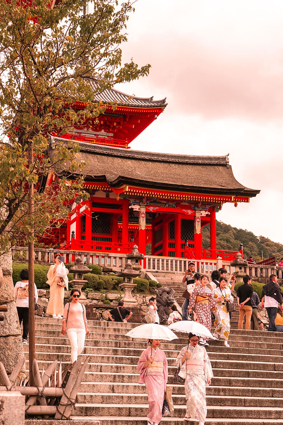 sightsee, kyoto, japan, kimono, temple, walking, city country side, HD wallpaper