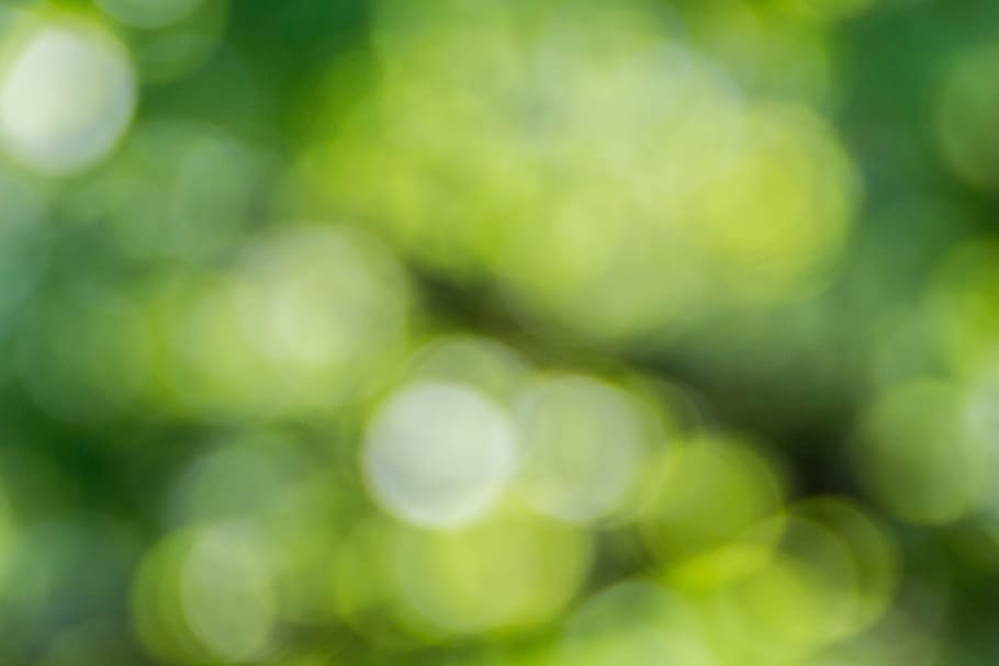 green and yellow light bokeh, green, bokeh, defocused, nature HD wallpaper