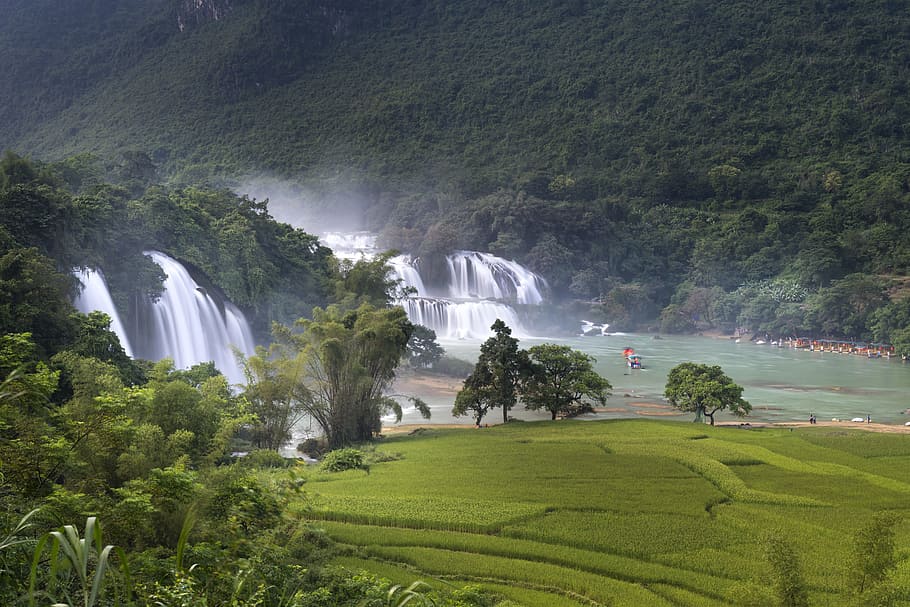 trees and green field beside waterfalls, high by, vietnam, china - east asian, HD wallpaper