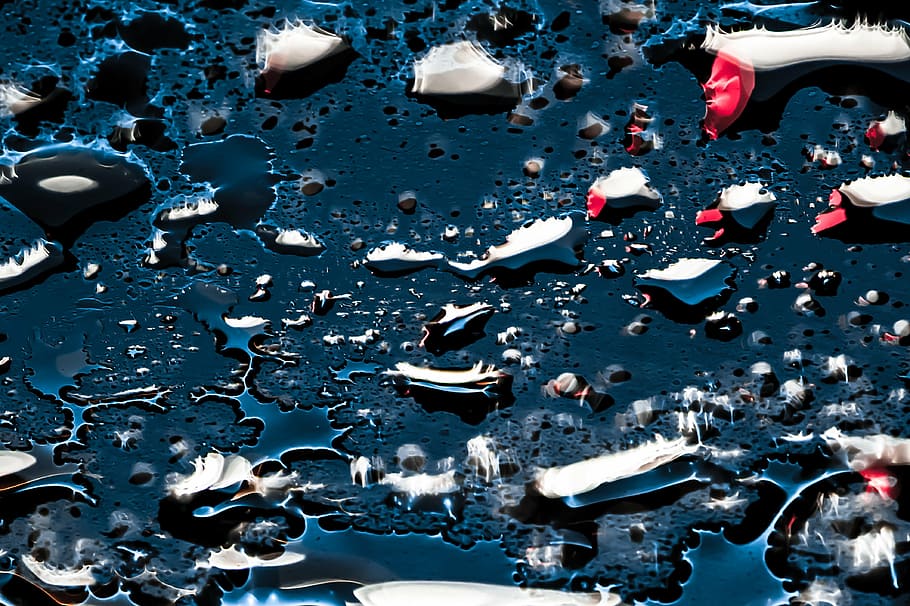 rain, macro, rain drop, after rain, drops, background, water HD wallpaper