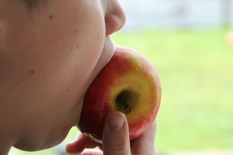 apple, bite, feed, eat, vitamins, bite purely, healthy, food HD wallpaper