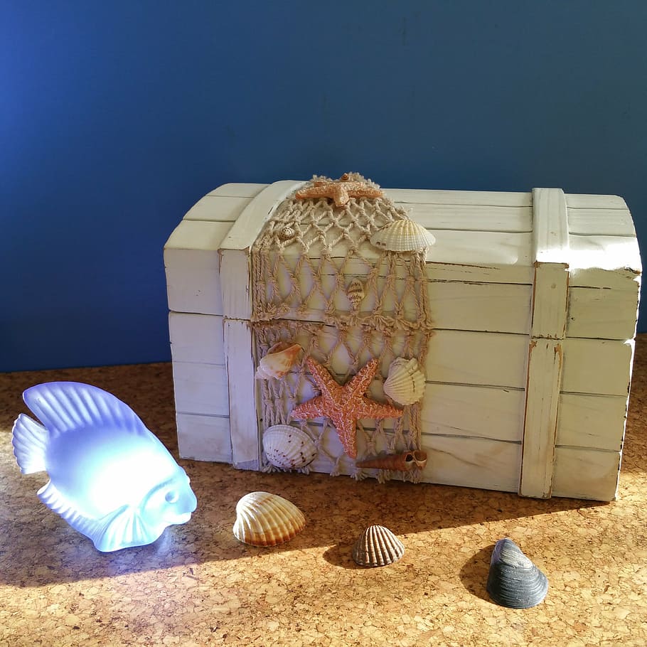 treasure chest, maritime, fish, shell, holiday, beach, no people HD wallpaper