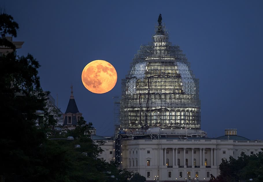illuminated white building and dome, full moon, washington HD wallpaper