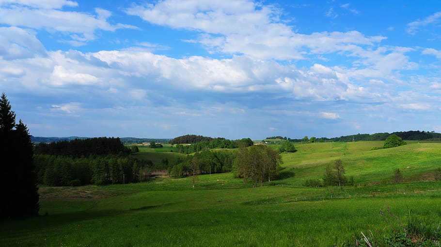 landscape, clouds, meadow, tree, sky, blue, sky clouds, nature HD wallpaper