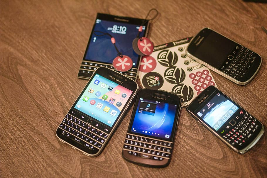 blackberries, digital tail, little red flowers, mobile, technology