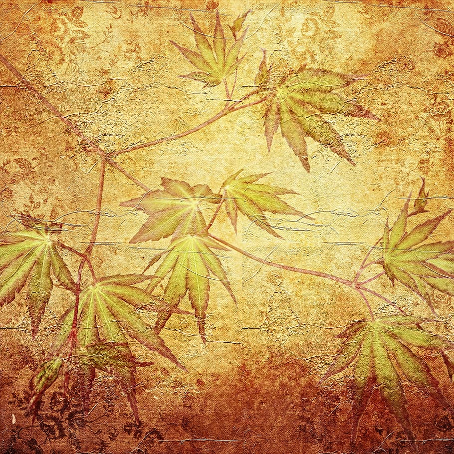 orange leaves, texture, background, pattern, maple, maple leaves HD wallpaper