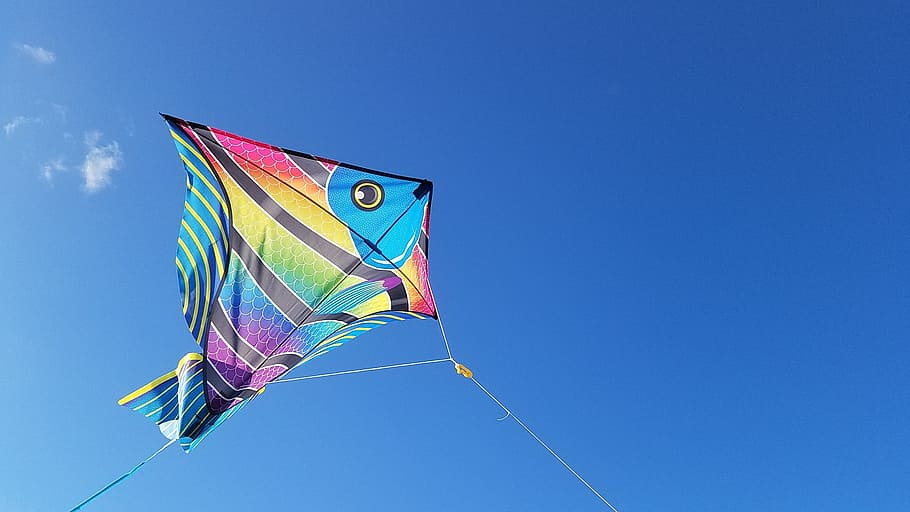 multicolored kite flying on sky at daytime \, Jacksonville, Florida, HD wallpaper