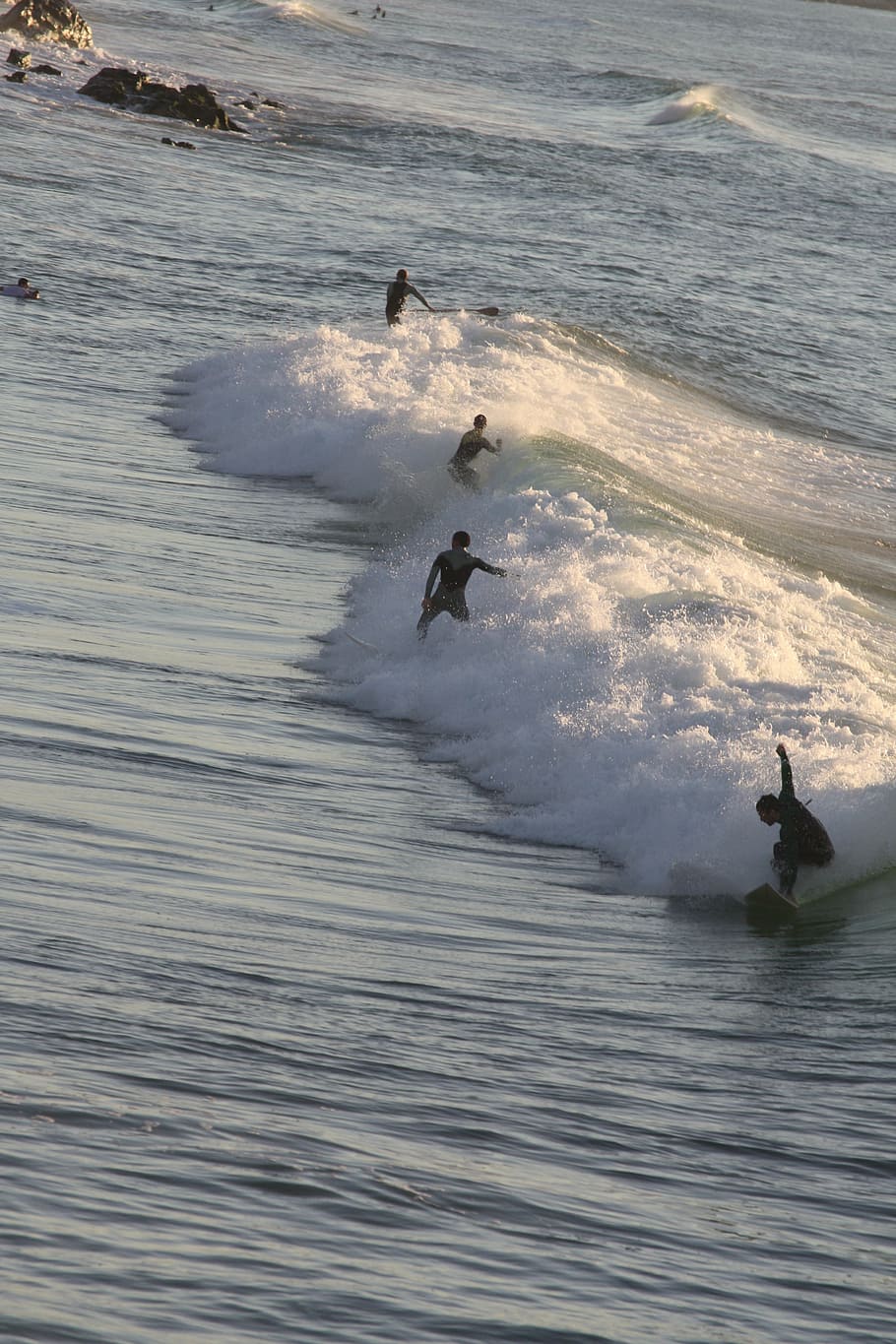 surf, biarritz, wave, summer, france, water, sea, motion, animal HD wallpaper
