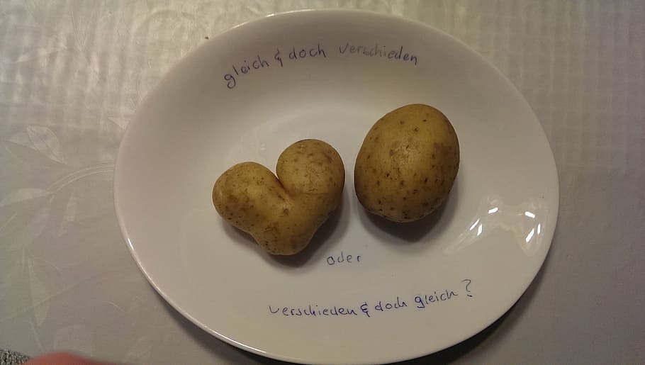 eat, love, proverbs, potato, equal, unequal, heart shape, food HD wallpaper