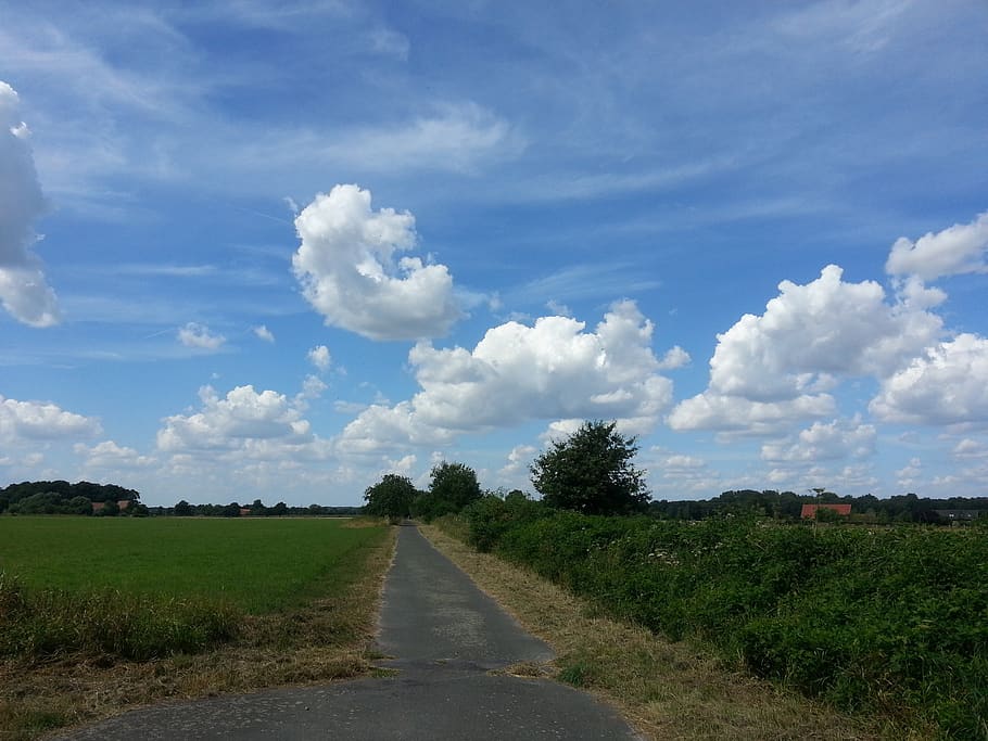 clouds, landscape, away, sky, field, rest, lane, rieselfelder HD wallpaper