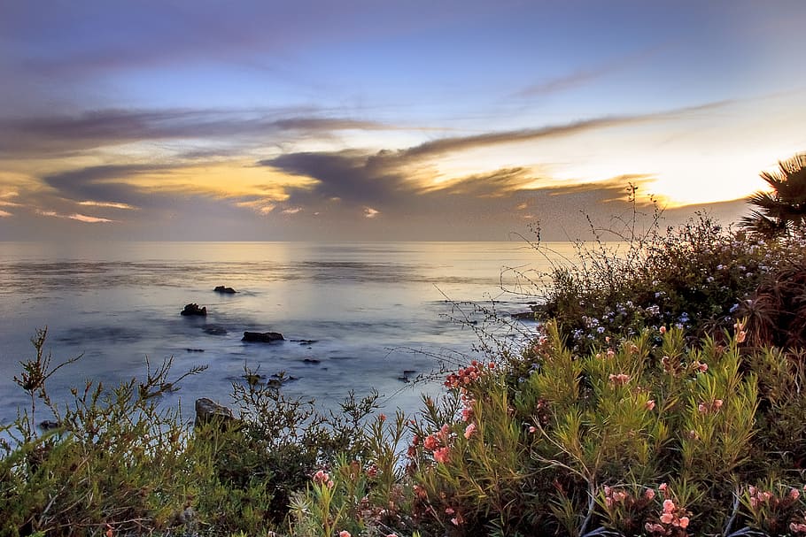 ocean during sunset, beach, sea, vacation, water, sky, sunrise HD wallpaper