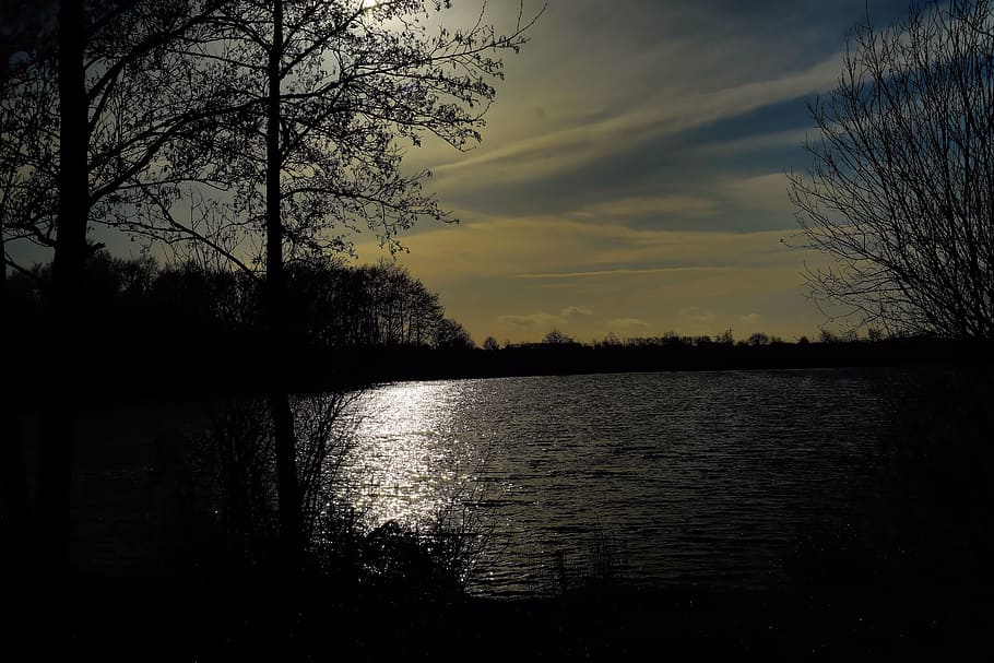 Lake, Winter, Back Light, Light, Lunch, Trees, bank, silhouettes HD wallpaper