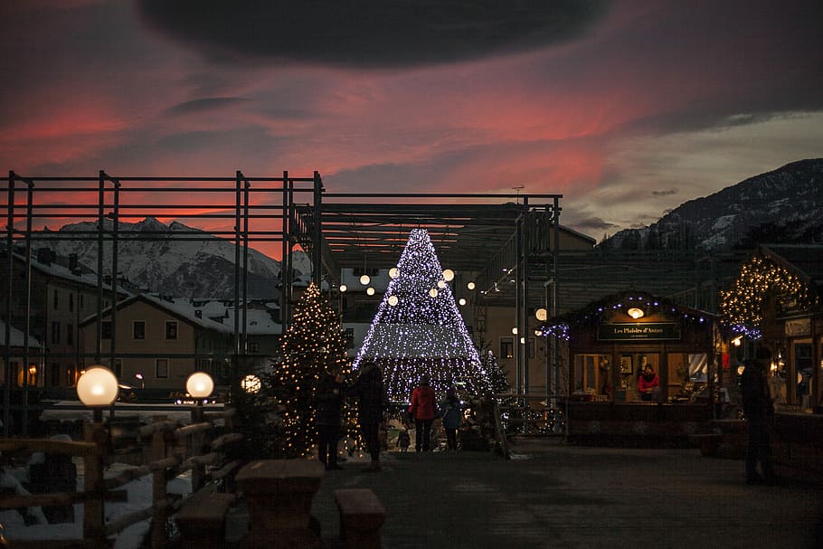 people walking on the street beside Christmas tree, several trees covered with string lights on street HD wallpaper