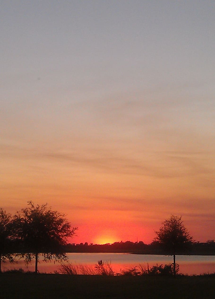 sunset, dusk, evening, sky, tree, plant, beauty in nature, scenics - nature HD wallpaper