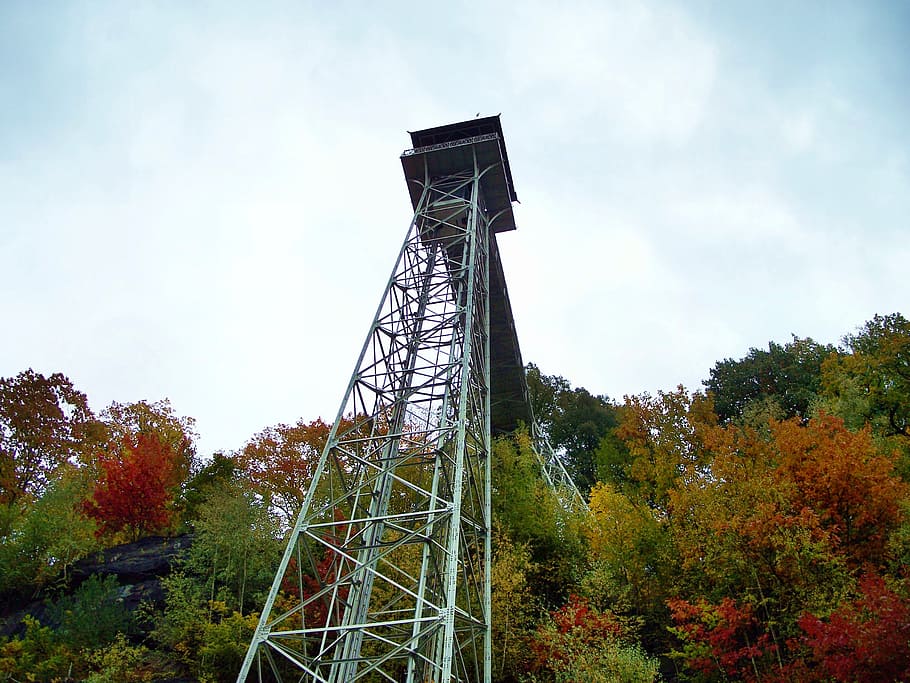 tower, elevator, ostrava, bad schandau, tree, plant, sky, built structure HD wallpaper