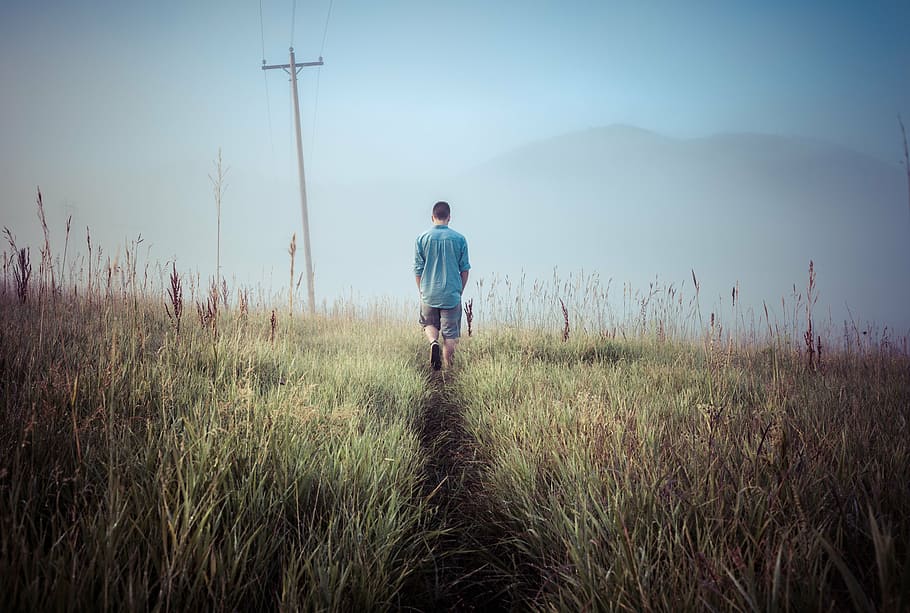 man walks on green grass field, person, walking, hiking, meadow HD wallpaper