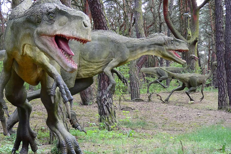 nature, animals, tree, wild, park, dinosaurs, plant, mammal HD wallpaper