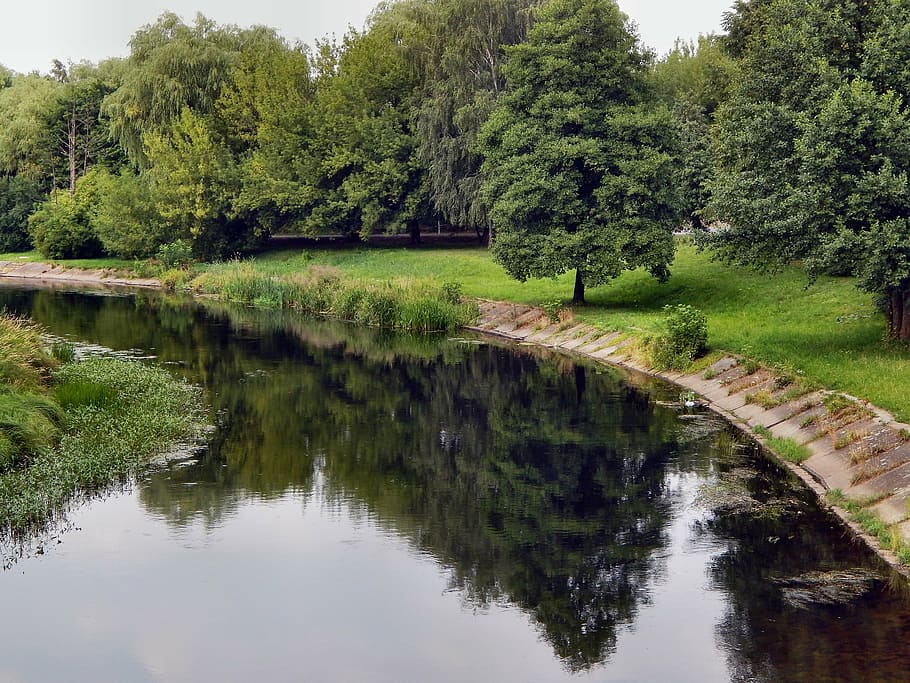 river gwda, water, landscape, tree, plant, reflection, tranquility HD wallpaper
