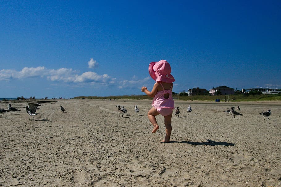 nature, beach, sand, sky, clouds, animals, birds, seagulls HD wallpaper