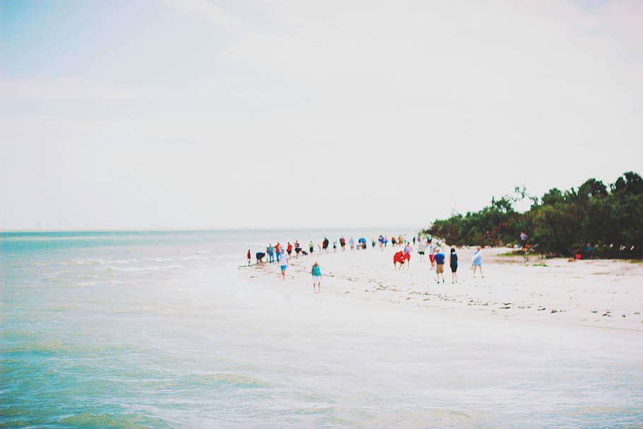 photo of people on beach during daytime, sea, sand, summer, vacations HD wallpaper