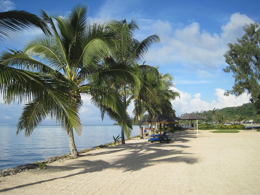 Tropical, Beach, Sea, Tree, Island, the sea, bay, hotel, resort HD wallpaper