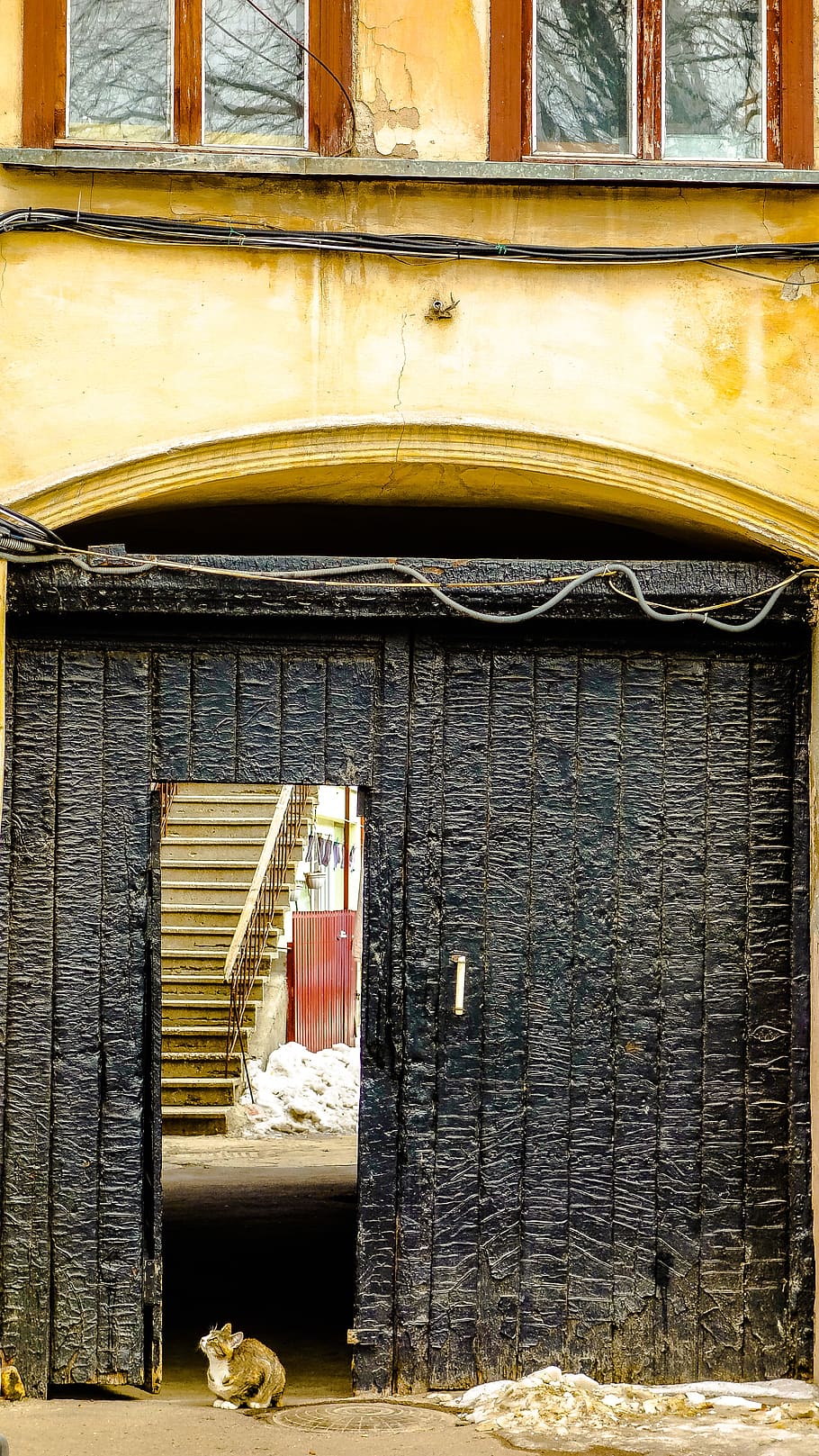 odessa, gate, cat, door, window, architecture, no people, built structure HD wallpaper