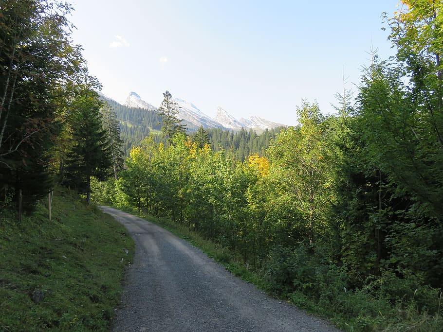 switzerland, mountains, view, plant, tree, the way forward HD wallpaper