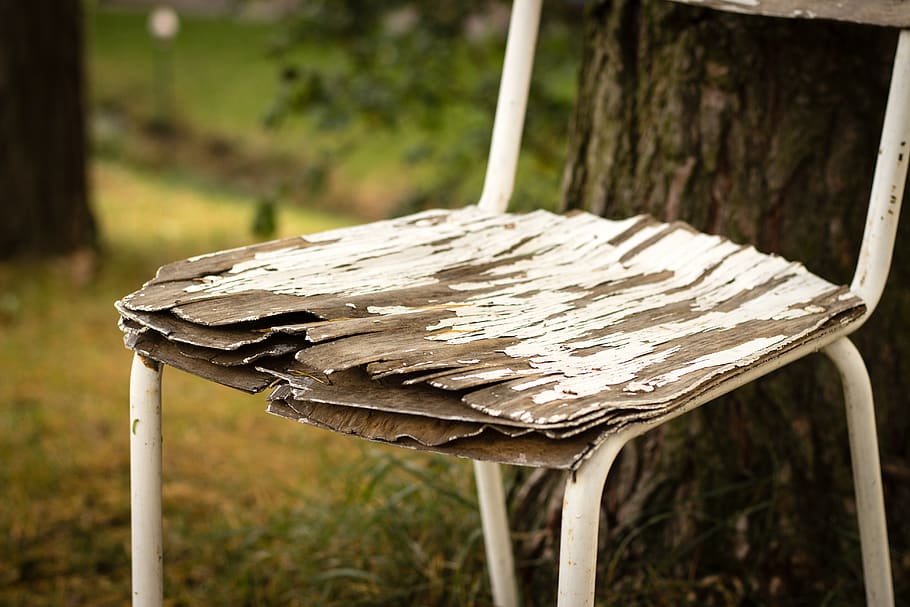 chair, session, sit, focus on foreground, wood - material, plant HD wallpaper