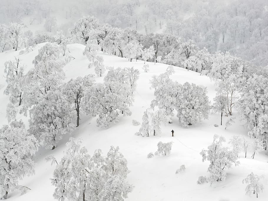 person walking on glacier mountain, aerial photography of mountain and trees covered with snow HD wallpaper