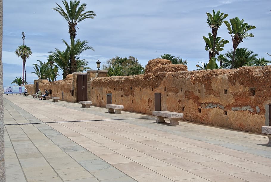 palm trees inside vicinity with concrete walls, Rabat, Historic HD wallpaper