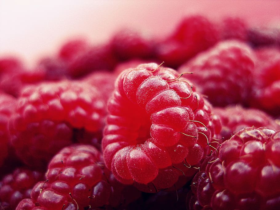 macro shot photography of red raspberry, fruits, fresh, vitamins HD wallpaper