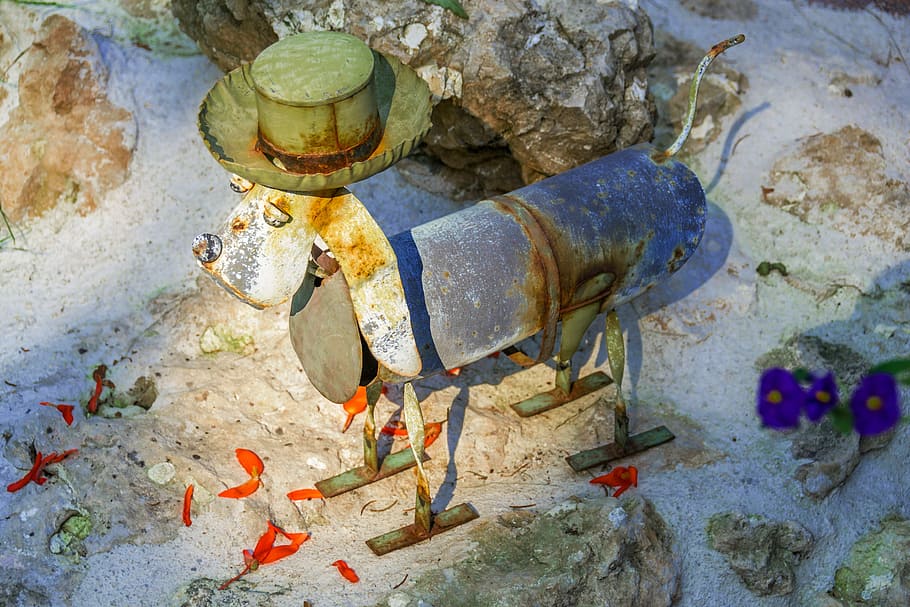 dog, sheet, stone, hat, background, stainless, colorful, animal themes HD wallpaper