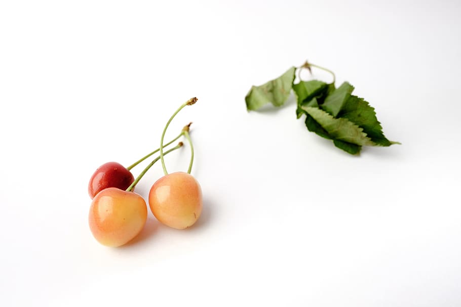 cherry, and cherries, fruit, nuts, cute, food, american cherry HD wallpaper